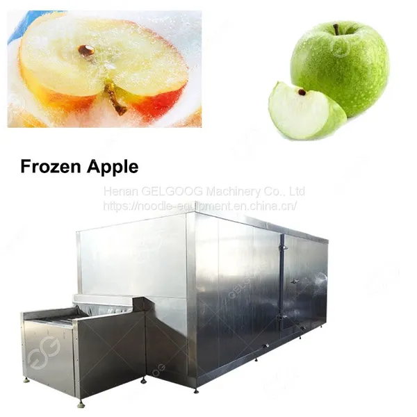 Stainless Steel Frozen Food Machinery/Apples IQF Tunnel Freezer Price