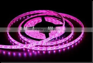 2016 High Brightness Non-waterproof 12v 5630 Smd Rigid Led Strip photo-4