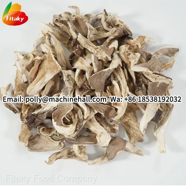High Quality Dried Oyster Mushrooms Wholesale Price photo-2