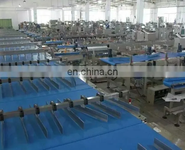 Manufacturer Full Servo Drive Dumpling Flow Wrapper Machine for Food Packing Machine China Bag Making Hot Sealer Reciprocating photo-4