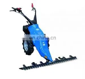 2021 Popular New Italy Brand BCS 730 Mini Power Tiller Hot in Aisa & Europe photo-2