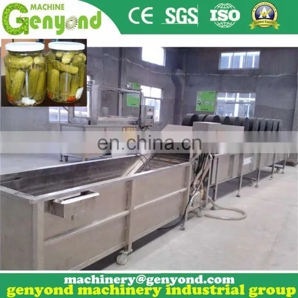 Professional Cucumber Pickles Processing Line photo-3