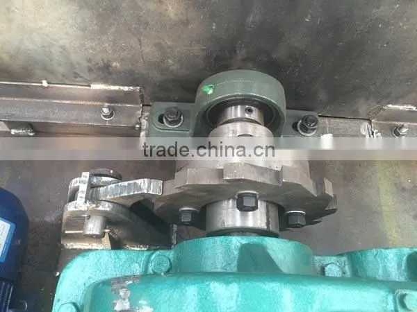 Chain Bucket Elevator for Coca Seeds Made in China photo-3