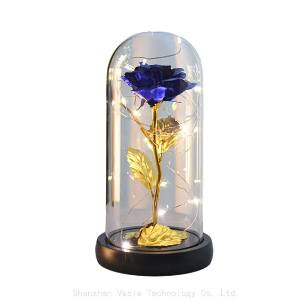 Eternal Forever Rose in Glass Dome With LED Light Gift Box for Mom Women Valentines Mothers Day Bulk photo-3