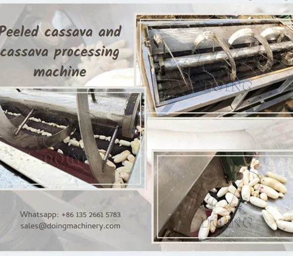 Hot Selling Vegetable & Fruits Processing Machine Cassava Peeler With Spray System Cassava Washing & Peeling Machine