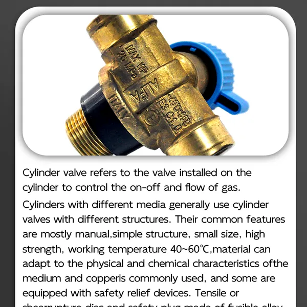 Seiko Brass Qf-9t Cylinder Valve for CNG Tank International Standard Universal Matching photo-5