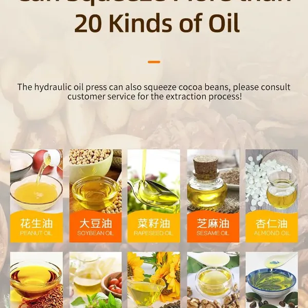 Hydraulic Oil Vegetable Oil Edible Oil Pressing Machine Cold & Hot Pressing Machine photo-2