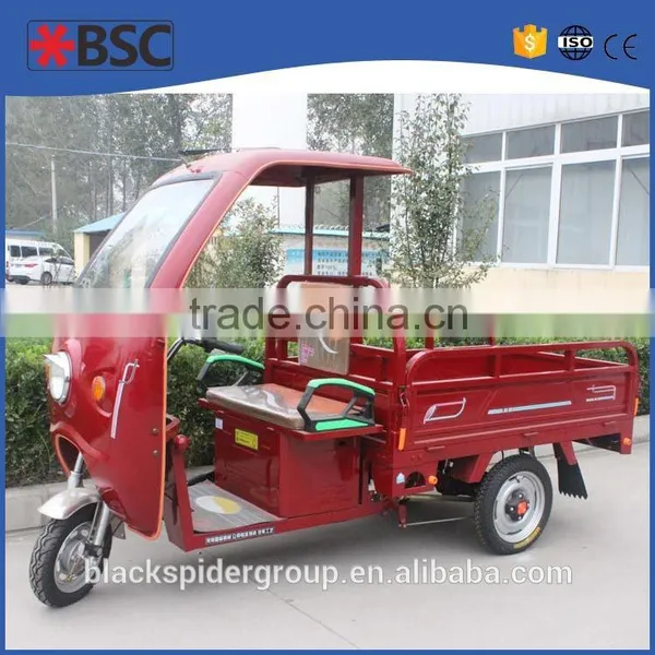 Long Miles Motorcycle Tricycle for Cargo photo-2