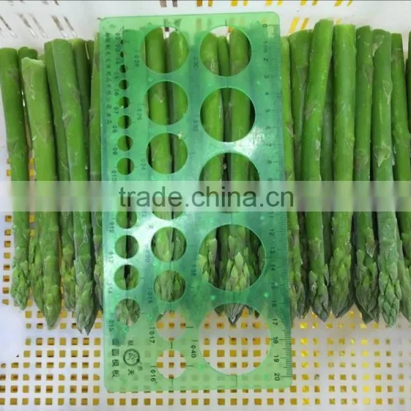 Frozen Fresh Green Asparagus photo-3