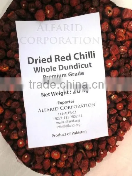 Dry Red Hot Peppers Stemless Without Aflatoxin From Pakistan