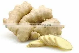 MOST COMPETITIVE PRICE OF GINGER ORIGIN VIETNAM! HIGH QUALITY