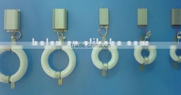 China Market Energy Saving Induction Lamp photo-2