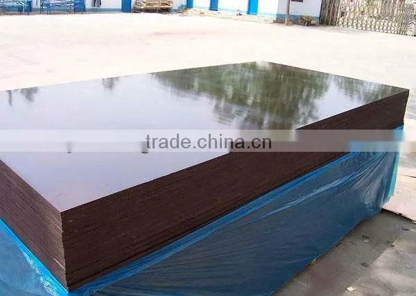 18MMX1220X2440 Russia Birch Core Film Faced Plywood photo-5