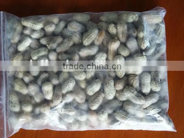 IQF Peanut With Best Quality