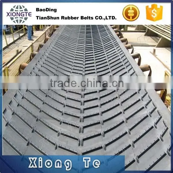China Supplier Patterned Conveyor Belt Heavy Duty Belt photo-6