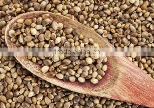 Pure Hemp Seeds Oil photo-2