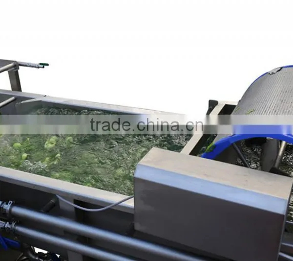 Leafy Vegetable Washer CD750 photo-5