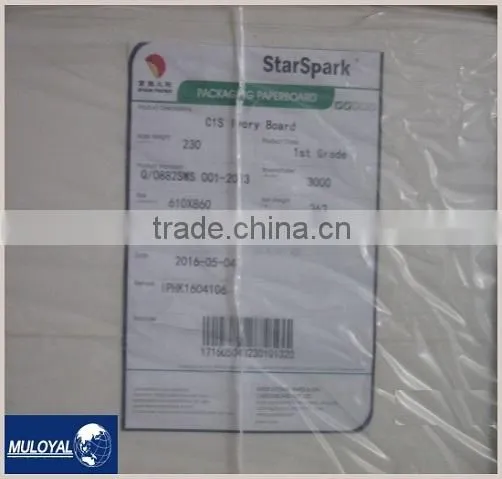 High Quality Folding Box Board FBB Ivory Board for Packages photo-3