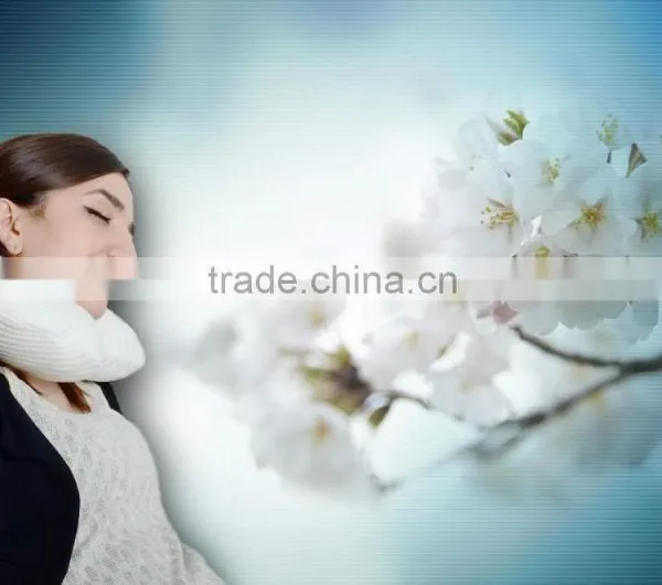 Memory Foam Travel Pillow photo-5