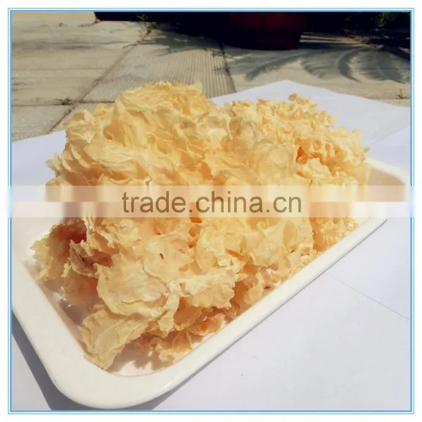White Jelly Leaf Mushroom