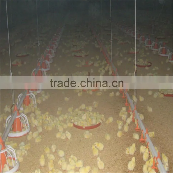 UAE Chicken Farm Poultry Equipment for Sale photo-3