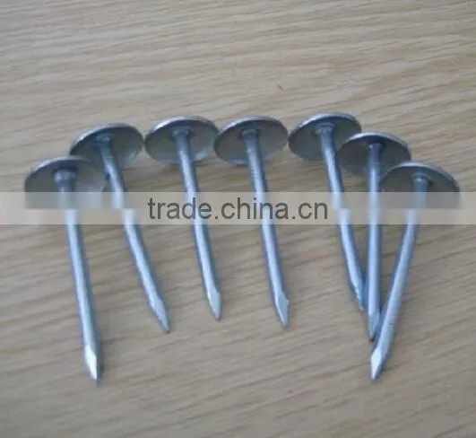 Umbrealla Nail With Roofing Head and Thread Nail Body photo-6