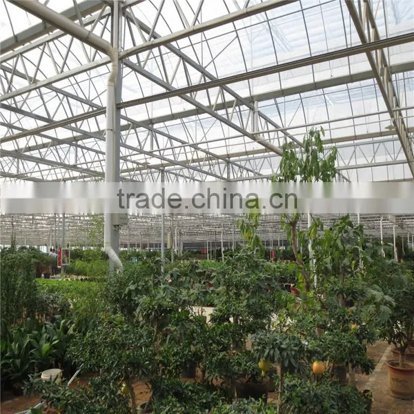 Commerical Multi-Span Greenhouse for Agriculture With UV photo-4