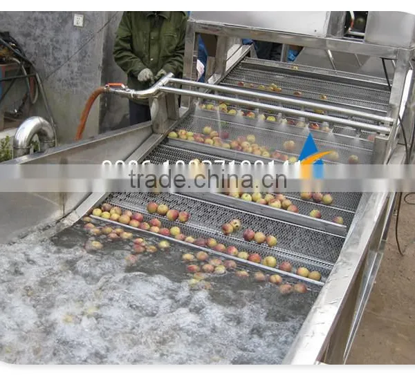 Industrial Brush Type Vegetable and Fruit Washing Machine photo-3