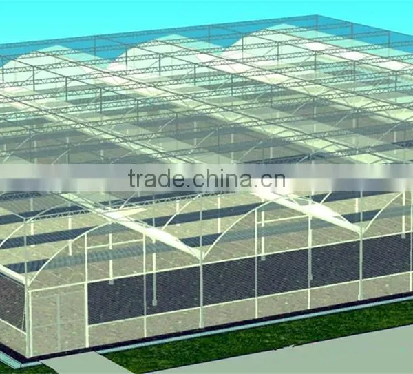 Hot Sale Multi-span Greenhouse With Vegetable Farming Equipment photo-6