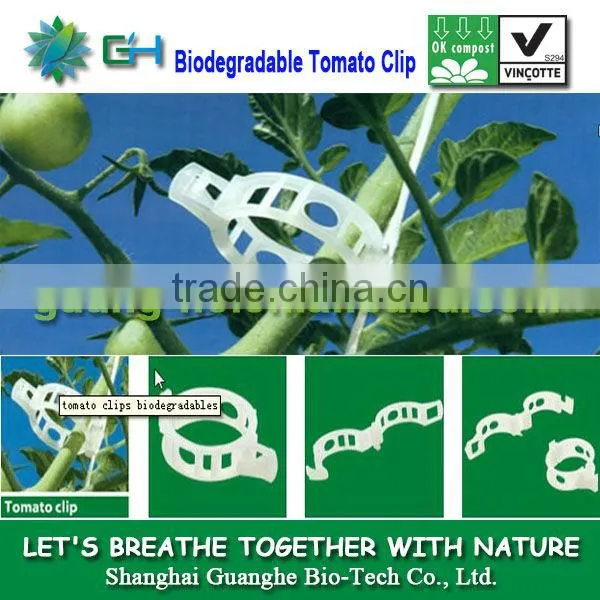 100% Compostable and Biodegradable PLA Tomato Plastic Graft Clips