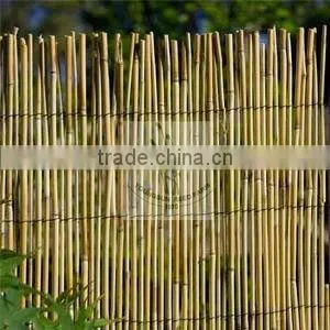 Reed Fence photo-5