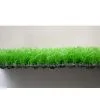 Artificial Grass