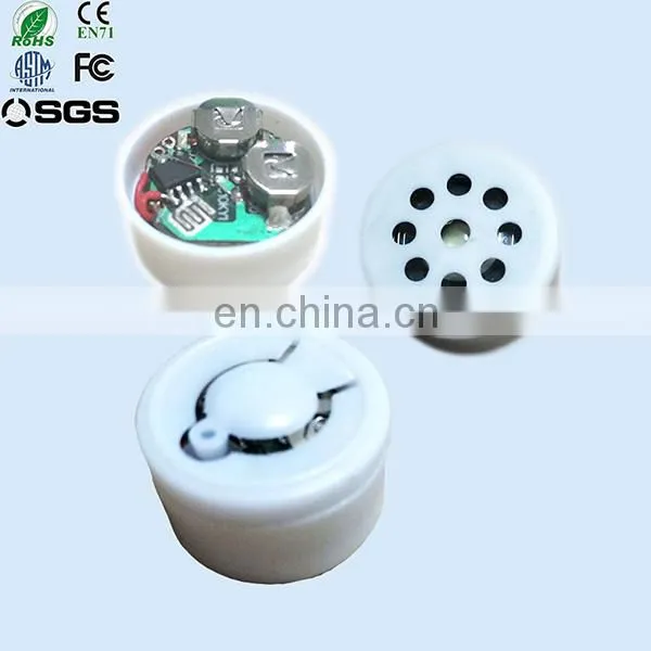 Custom Voice Talking Recordable Audio Sound Module Chip for Greeting Cards and Toys photo-3
