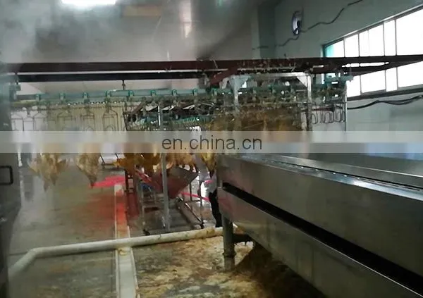 Mini Poultry Slaughter Equipment/duck Slaughter Machine Halal Chicken Slaughter Machine for Sale photo-5