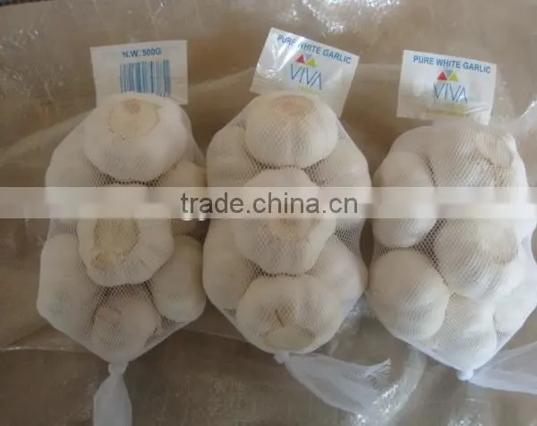 China Factory Price First Grade Pure White Garlic Fresh photo-2