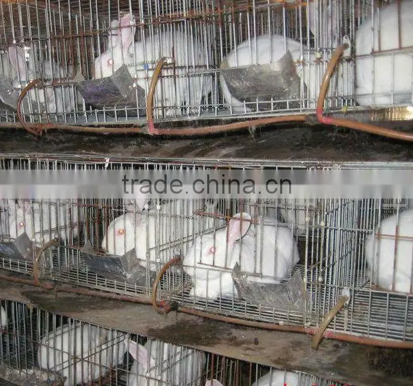 Poultry Nipple Automatic Stainless Steel Rabbit Nipple Drinker photo-4