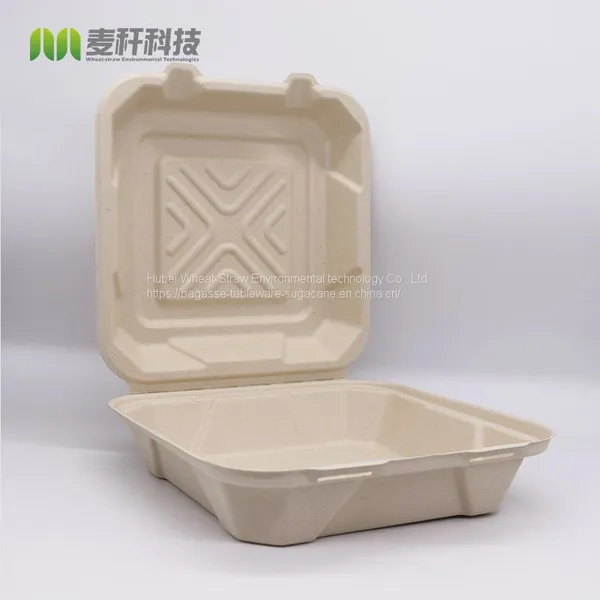 Disposable Biodegradable 8*8 3C Take Away Sugarcane Container photo-4