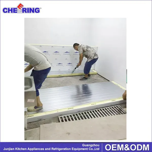 Vacuum Foaming Walk-in Cold Room Supply for Food photo-2