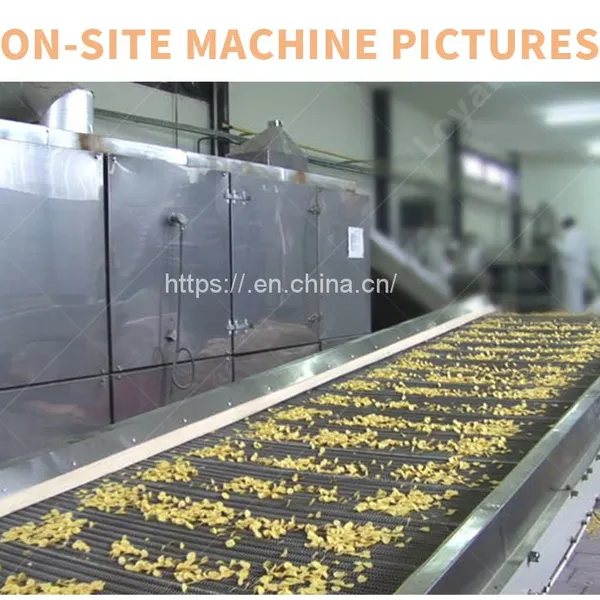 China Machines Supplier Extruded Instant Corn Flakes Food Makes Machinery/Production Line photo-5