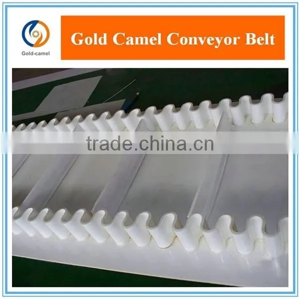 FDA White Food Grade PVC/PU Conveyor Belt for Light Industry photo-4