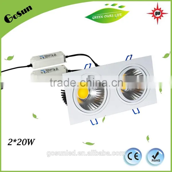 2*20W Ra>80 Ceiling Light China Hot Sale COB LED Downlight With CE ROHS photo-2