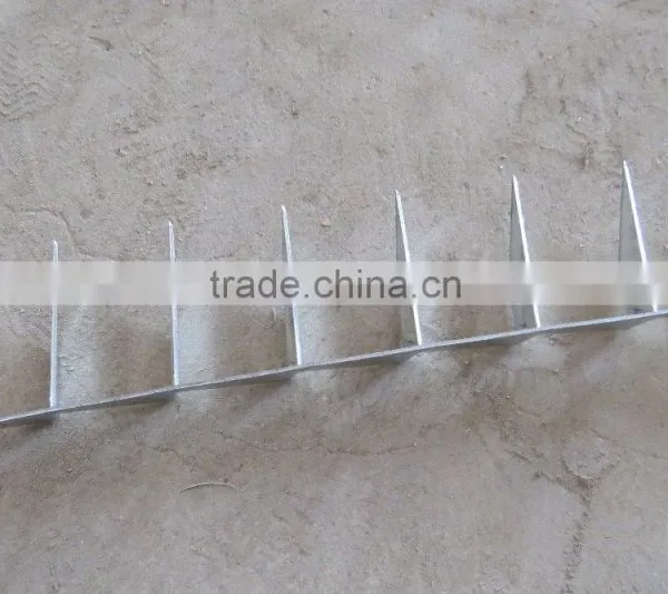 Best Quality Security Wall Spikes From Anping Factory photo-2