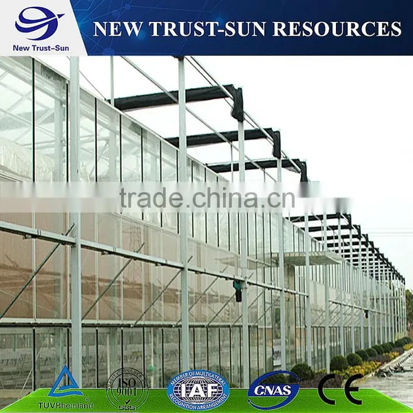 Polycarbonate/PC Multi-span Agricultural Greenhouse photo-4