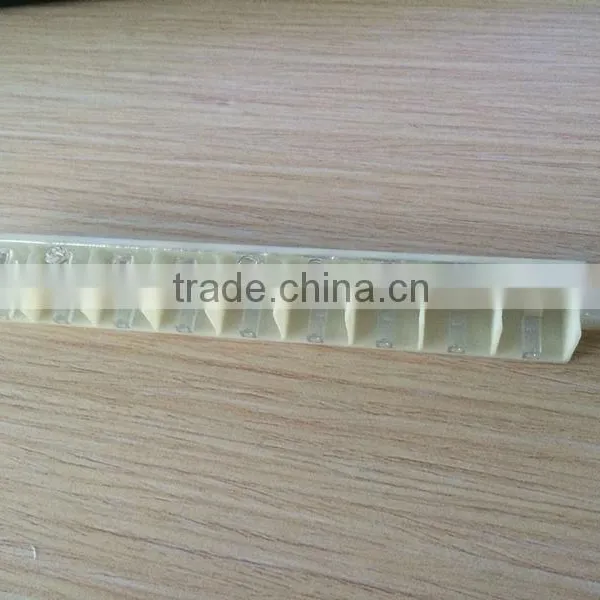 Customized Precision Transparent LED Guide Beam of Plastic Injection photo-5