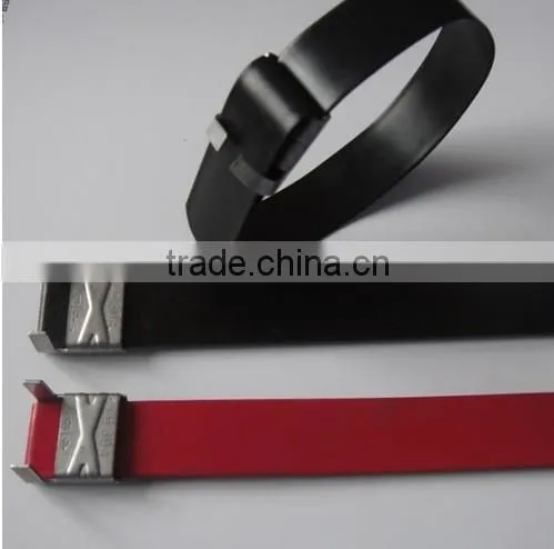 316 Coated Stainless Steel Ties