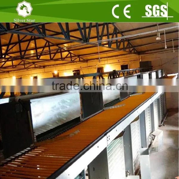 Silver Star Patent Egg Collection Equipments Useful For Layer Sheds Cages System photo-6