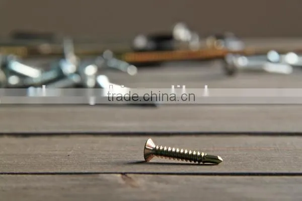 Flat Head Self Drilling Screw Stainless Steel photo-6