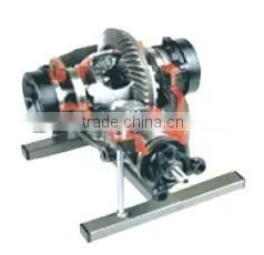 Anatomical Differential with locking device educational training equipment