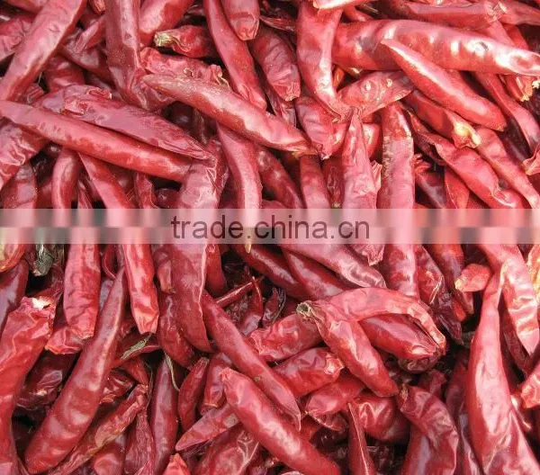 Dried Chilli photo-2