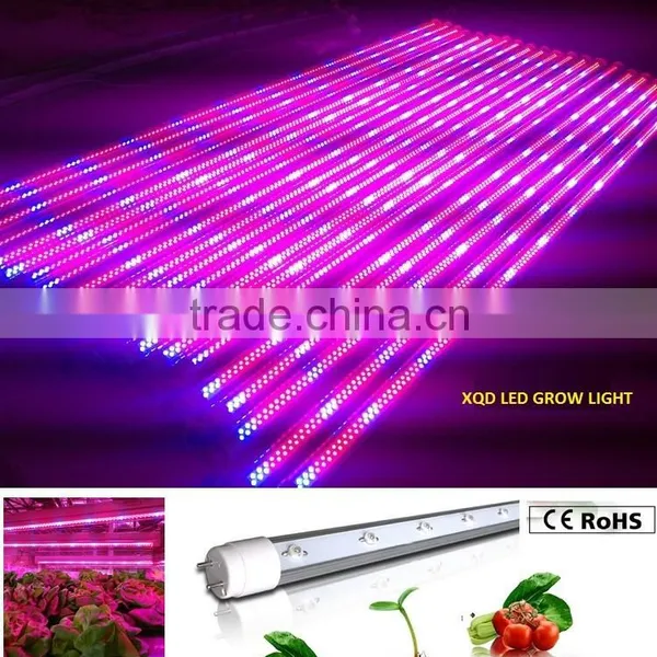XQD Led Grow Light Full Spectrum Hydroponic photo-2